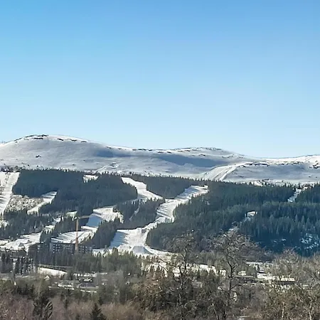 Pet Friendly In With Wifi Holiday home *